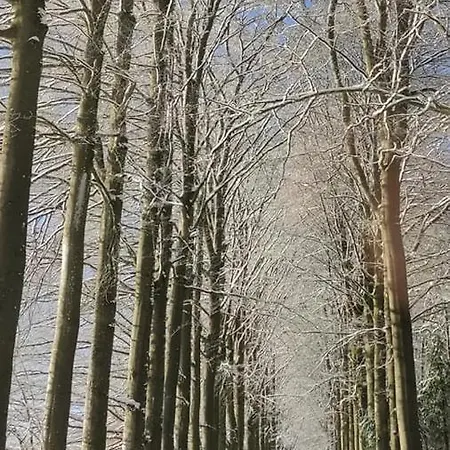 Du Cheval Blanc A Houmont *