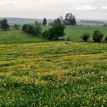 Du Cheval Blanc A Houmont Διαμέρισμα Sainte-Ode