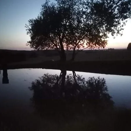 Du Cheval Blanc A Houmont Sainte-Ode