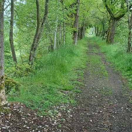 Du Cheval Blanc A Houmont Sainte-Ode