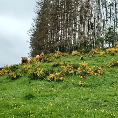 Du Cheval Blanc A Houmont
