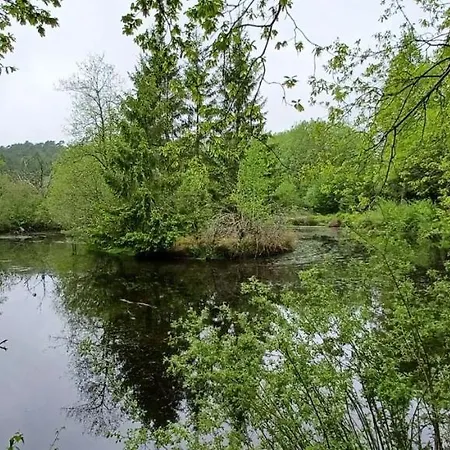 Apartman Du Cheval Blanc A Houmont *