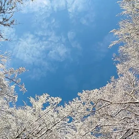 Du Cheval Blanc A Houmont Apartman *