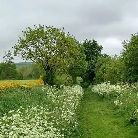 Du Cheval Blanc A Houmont